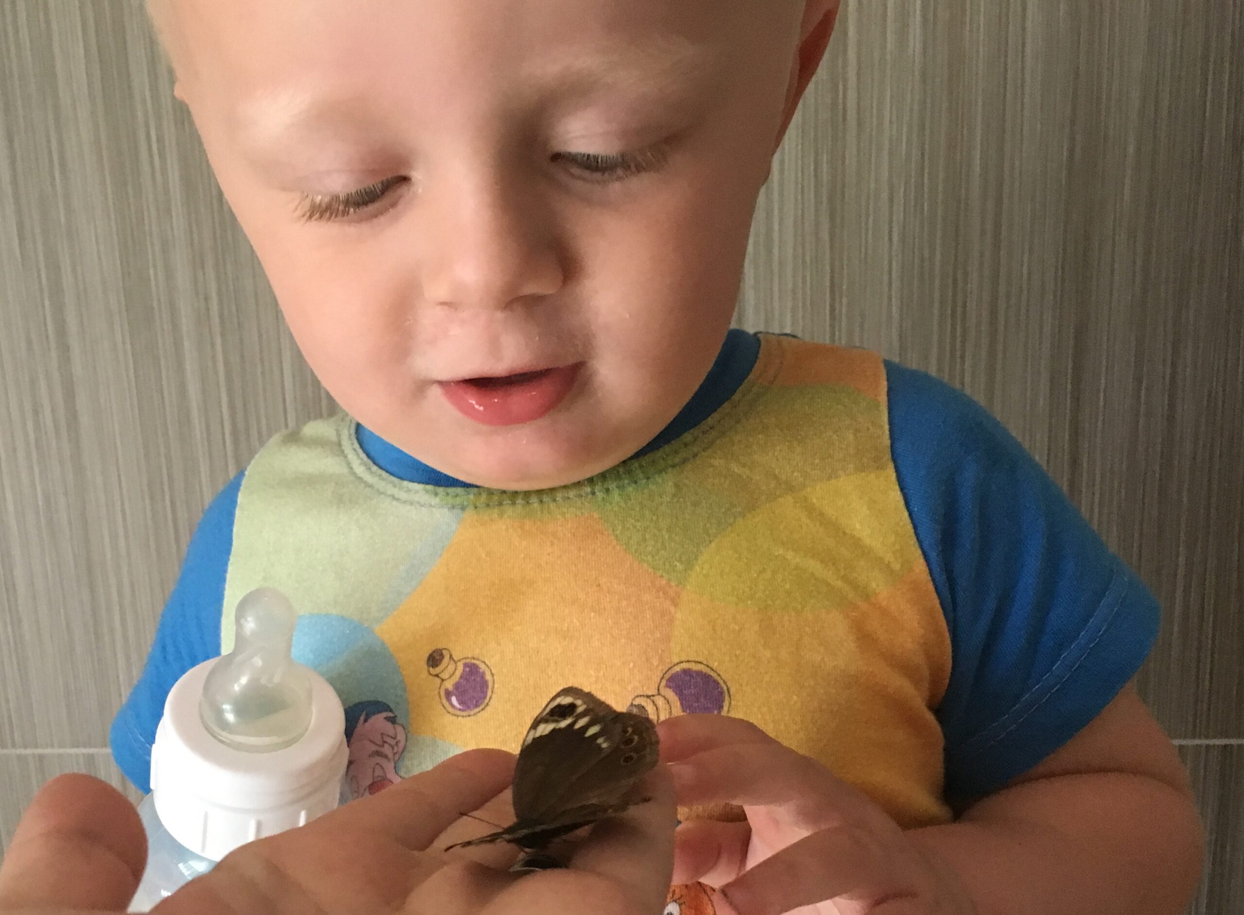 Toddler fascinations.