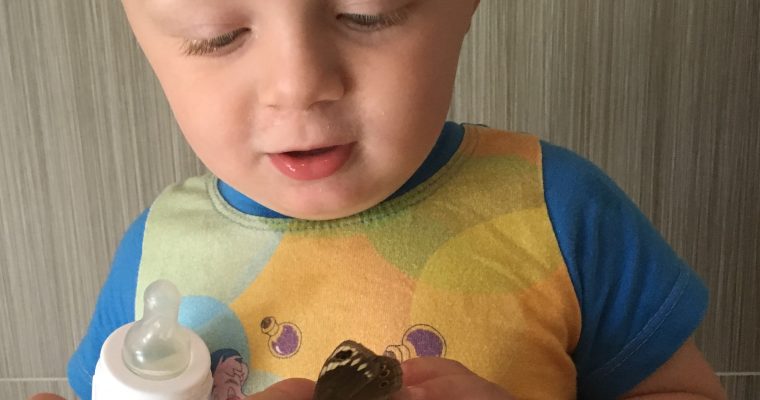 Toddler fascinations.