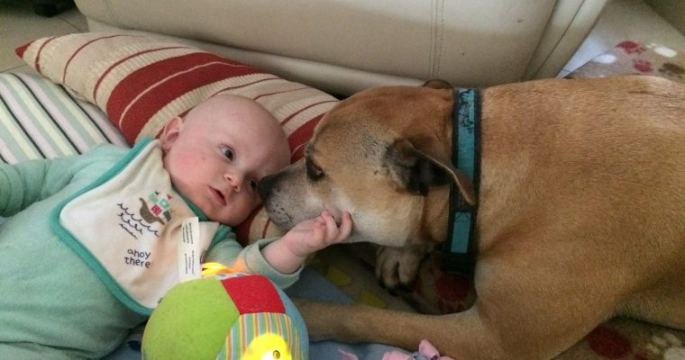 Turbo – the Legend