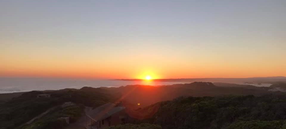 My favorite chicken soup