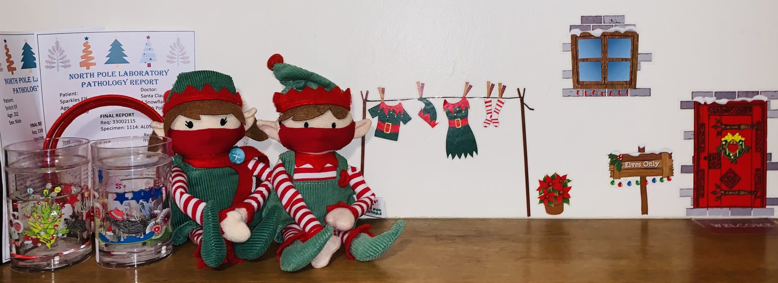 Elf on the shelf 2020